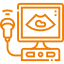 Sonography & Colour Doppler
